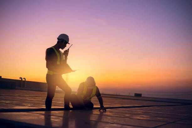 Best Roof Moss and Algae Removal  in Junction, TX
